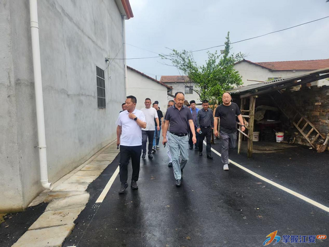 实地督导查实效,精细治理促提升——江夏区多部门联合督查舒安街和美乡村建设工作1.png