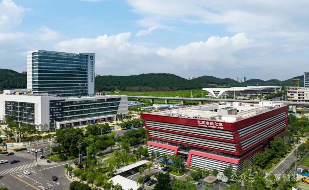 江夏出台最新方案!涉及政务服务改革 - 江夏要闻