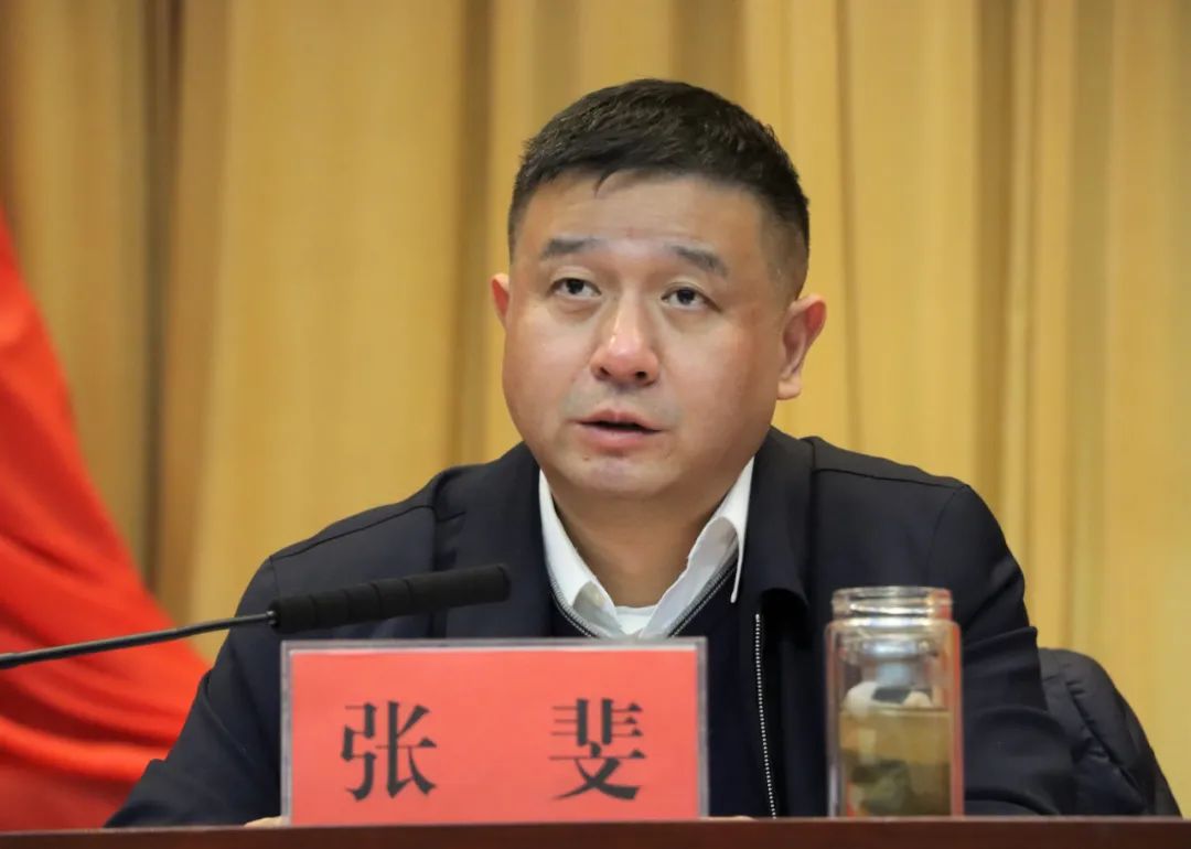 张斐汲取党史精神伟力为江夏高质量发展提供坚强组织保障